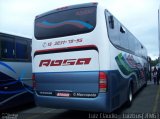 Rosa Turismo 10000 na cidade de Aparecida, São Paulo, Brasil, por Luiz Krolman. Número da foto: #892786.