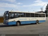 Viação Nossa Senhora Conquistadora 227 na cidade de Pelotas, Rio Grande do Sul, Brasil, por Herbert Zils. Número da foto: #899311.