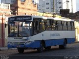 Viação Nossa Senhora Conquistadora 183 na cidade de Pelotas, Rio Grande do Sul, Brasil, por Herbert Zils. Número da foto: #899372.