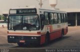 Rosa Turismo 815 na cidade de Tatuí, São Paulo, Brasil, por Maurice  Gonçalves Natacci. Número da foto: #964499.
