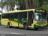 TREL - Transturismo Rei RJ 165.207 na cidade de Rio de Janeiro, Rio de Janeiro, Brasil, por Flavio de Assumpção Pereira. Número da foto: #:id.