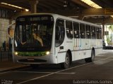 VINCO - Viação Noivacolinense 1507 na cidade de Piracicaba, São Paulo, Brasil, por Gabriel Ramos Gomes. Número da foto: #966018.