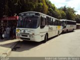 Frotanobre Transporte de Pessoal 5020 na cidade de Juiz de Fora, Minas Gerais, Brasil, por André Luiz Gomes de Souza. ID da foto: :id.