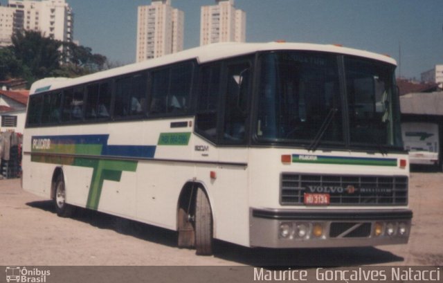 Ipojucatur 209 na cidade de São Paulo, São Paulo, Brasil, por Maurice  Gonçalves Natacci. ID da foto: 975366.