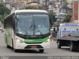 Pássaro Verde 26042 na cidade de Viçosa, Minas Gerais, Brasil, por Julio Cesar Euzebio Alves. Número da foto: #:id.