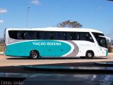 Viação Goiânia 30911 na cidade de Brasília, Distrito Federal, Brasil, por Clébio Júnior. Número da foto: #979735.