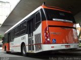 Santa Madalena > Oak Tree Transportes Urbanos 8 3973 na cidade de São Paulo, São Paulo, Brasil, por Felipe Vitor Paixão Vieira. Número da foto: #:id.