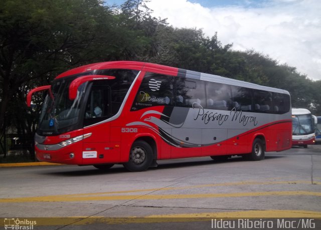 Empresa de Ônibus Pássaro Marron 5308 na cidade de São Paulo, São Paulo, Brasil, por Ildeu Ribeiro. Número da foto: #948865.