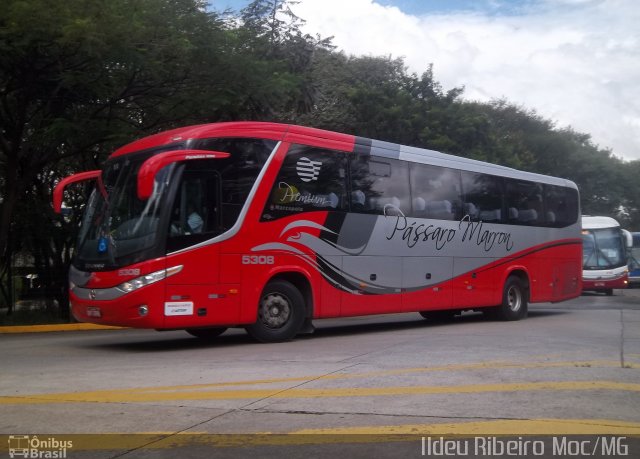 Empresa de Ônibus Pássaro Marron 5308 na cidade de São Paulo, São Paulo, Brasil, por Ildeu Ribeiro. ID da foto: 948865.