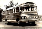 Empresa de Transportes e Turismo Moreira 60 na cidade de Guaraíta, Goiás, Brasil, por Carlos Júnior. Número da foto: #949346.