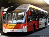 Santa Madalena > Oak Tree Transportes Urbanos 8 3973 na cidade de São Paulo, São Paulo, Brasil, por Joel Mariano de Souza. Número da foto: #984434.
