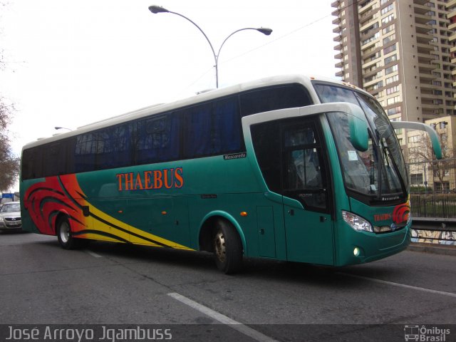 Thaebus  na cidade de , por José Arroyo Jgambuss. Número da foto: #987069.