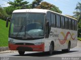 Plenna Transportes e Serviços 810 na cidade de Salvador, Bahia, Brasil, por Walace Aguiar R.  Lima. Número da foto: #:id.