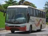 Plenna Transportes e Serviços 810 na cidade de Salvador, Bahia, Brasil, por Walace Aguiar R.  Lima. ID da foto: :id.