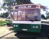 Escolares 5584 na cidade de Sabáudia, Paraná, Brasil, por Emanoel Diego.. Número da foto: #:id.