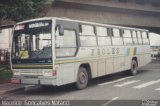 Transportes e Turismo Eroles 872 na cidade de São Paulo, São Paulo, Brasil, por Maurice  Gonçalves Natacci. ID da foto: :id.