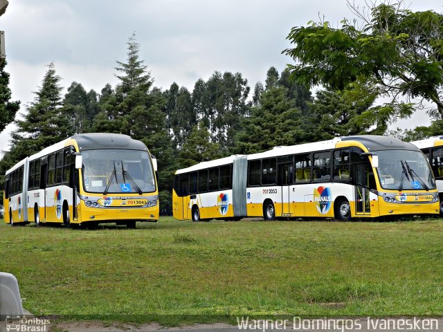 Global Green 7012043 na cidade de Fazenda Rio Grande, Paraná, Brasil, por Wagner Domingos Ivanesken. Número da foto: #995891.