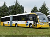 Global Green 7012043 na cidade de Fazenda Rio Grande, Paraná, Brasil, por Wagner Domingos Ivanesken. Número da foto: #995882.