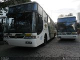 Empresa Gontijo de Transportes 11185 na cidade de Belo Horizonte, Minas Gerais, Brasil, por Acácio Souza. Número da foto: #999928.