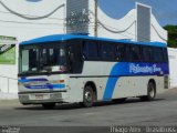 Palmeira Tur BWC0832 na cidade de Maceió, Alagoas, Brasil, por Thiago Alex. Número da foto: #999449.