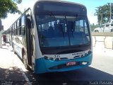 Viação Cruzeiro 335 na cidade de Ipojuca, Pernambuco, Brasil, por Isack Passos. Número da foto: #1003214.