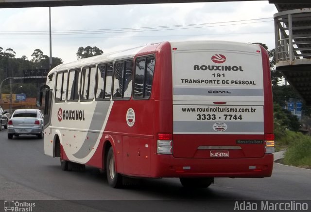 Rouxinol 191 na cidade de Belo Horizonte, Minas Gerais, Brasil, por Adão Raimundo Marcelino. ID da foto: 955236.