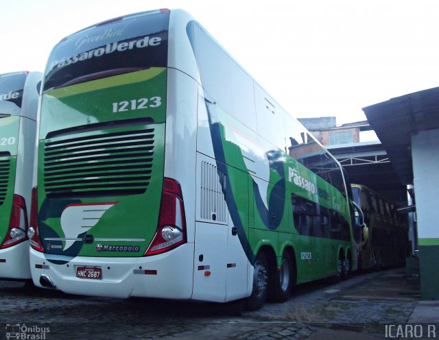 Pássaro Verde 12123 na cidade de Belo Horizonte, Minas Gerais, Brasil, por Icaro Ricardo Quadros Evangelista. Número da foto: #963790.