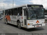 Evanil Transportes e Turismo RJ 132.038 na cidade de Rio de Janeiro, Rio de Janeiro, Brasil, por Marcelo Malaquias - Grupo Para Todos. Número da foto: #1007690.