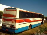 Transporte Coletivo Célico 1370 na cidade de Votuporanga, São Paulo, Brasil, por Adilson Fabiano. Número da foto: #:id.