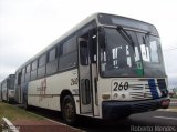Turismar Transporte e Turismo 260 na cidade de Marília, São Paulo, Brasil, por Roberto Mendes. Número da foto: #1024915.