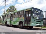 Bettania Ônibus 7463 na cidade de Belo Horizonte, Minas Gerais, Brasil, por Rafael  Carlos. Número da foto: #1026378.
