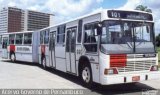 Borborema Imperial Transportes 990 na cidade de Recife, Pernambuco, Brasil, por Thiago Martins de Souza. Número da foto: #:id.