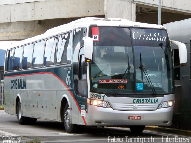 Expresso Cristália 3981 na cidade de Campinas, São Paulo, Brasil, por Fábio Takahashi Tanniguchi. Número da foto: #1030972.