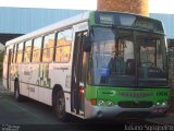 Sigma Transportes Coletivos 10038 na cidade de Piracicaba, São Paulo, Brasil, por Juliano Sgrigneiro. Número da foto: #1030581.