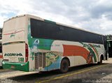 Empresa de Transportes Andorinha 5168 na cidade de Presidente Prudente, São Paulo, Brasil, por Thainan de França Barbosa. Número da foto: #:id.