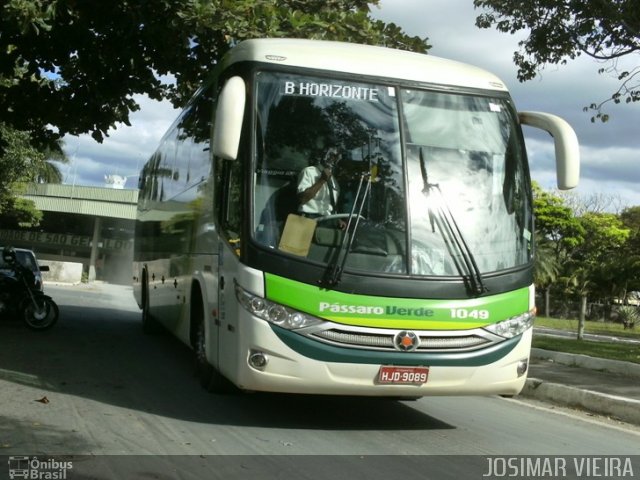 Pássaro Verde 1049 na cidade de Curvelo, Minas Gerais, Brasil, por Josimar Vieira. Número da foto: #1036363.