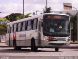 Borborema Imperial Transportes 587 na cidade de Recife, Pernambuco, Brasil, por Luiz Carlos de Santana. Número da foto: #:id.