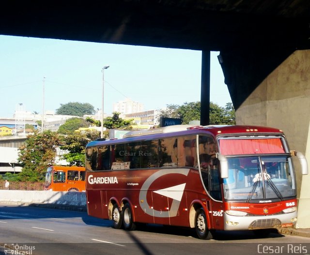 Expresso Gardenia 2565 na cidade de Belo Horizonte, Minas Gerais, Brasil, por César Ônibus. ID da foto: 1041016.