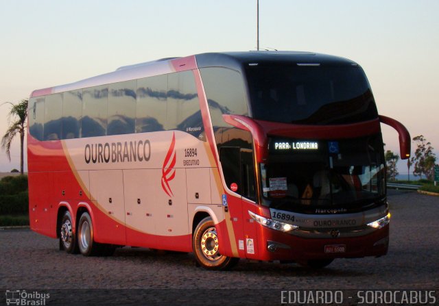 Viação Ouro Branco 16894 na cidade de Santa Cruz do Rio Pardo, São Paulo, Brasil, por EDUARDO - SOROCABUS. Número da foto: #1041956.