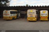 Empresa Gontijo de Transportes 12185 na cidade de Belo Horizonte, Minas Gerais, Brasil, por Ildeu Ribeiro. Número da foto: #1051616.