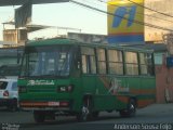 Viação Liberdade 4206 na cidade de Bom Jesus do Itabapoana, Rio de Janeiro, Brasil, por Anderson Sousa Feijó. Número da foto: #1056091.