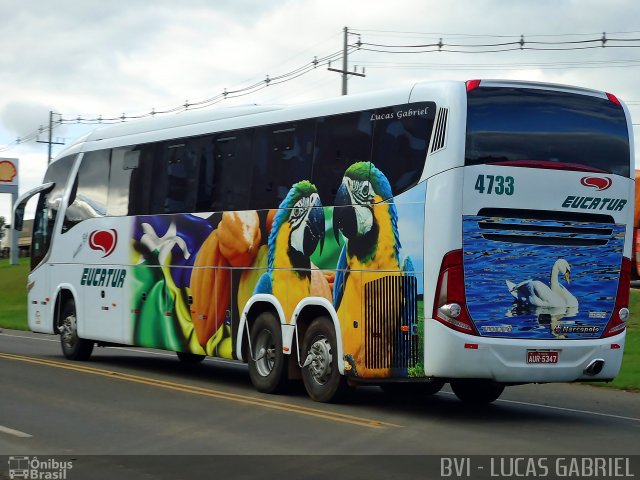 Eucatur - Empresa União Cascavel de Transportes e Turismo 4733 na cidade de Imbaú, Paraná, Brasil, por Lucas Gabriel. Número da foto: #1009729.