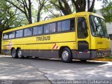 Viação Itapemirim 24065 na cidade de São Paulo, São Paulo, Brasil, por Gustavo Tavares. Número da foto: #1011112.