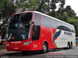Pluma Conforto e Turismo 7238 na cidade de Curitiba, Paraná, Brasil, por Paulo Gustavo. Número da foto: #:id.
