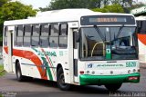 Empresa de Transportes Andorinha 5528 na cidade de Presidente Prudente, São Paulo, Brasil, por Francisco Ivano. Número da foto: #1010820.
