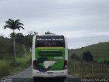 Pássaro Verde 1046 na cidade de Visconde do Rio Branco, Minas Gerais, Brasil, por Luciano Miranda. Número da foto: #1063865.