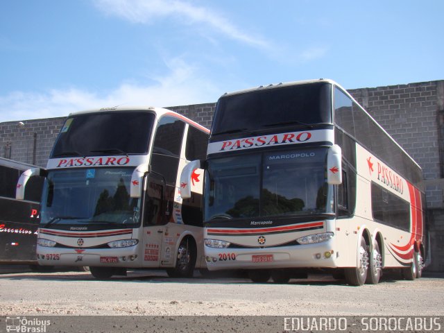 Pássaro Prata Transportadora Turística 2010 na cidade de Sorocaba, São Paulo, Brasil, por EDUARDO - SOROCABUS. Número da foto: #1017208.
