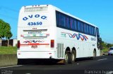 AVOA - Auto Viação Ourinhos Assis 43650 na cidade de Assis, São Paulo, Brasil, por Francisco Ivano. Número da foto: #1023555.
