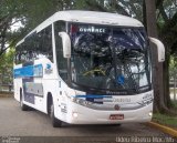VIDA - Viação Danúbio Azul 11.003 na cidade de São Paulo, São Paulo, Brasil, por Ildeu Ribeiro. Número da foto: #1023362.