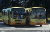 Viação Paraense 30445 na cidade de Belo Horizonte, Minas Gerais, Brasil, por Lucas Henrique . Número da foto: #1087134.